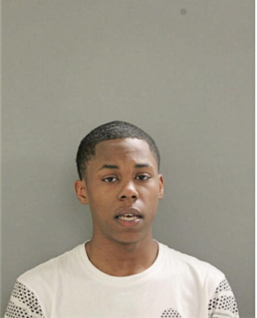 LAWRENCE C BRIGGS, Cook County, Illinois