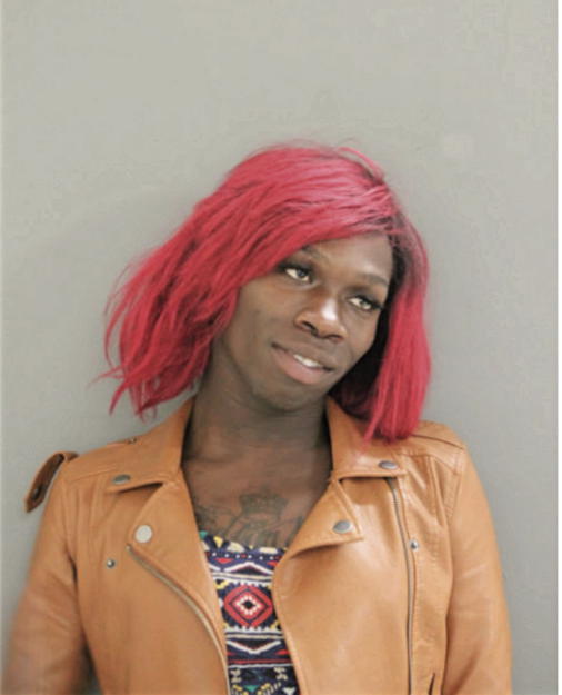 HAKEEM T COLEMAN, Cook County, Illinois