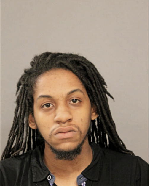 DEREK L DAVENPORT, Cook County, Illinois