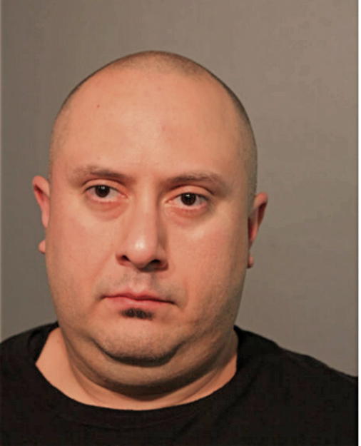 VINCENT T DIAZ, Cook County, Illinois