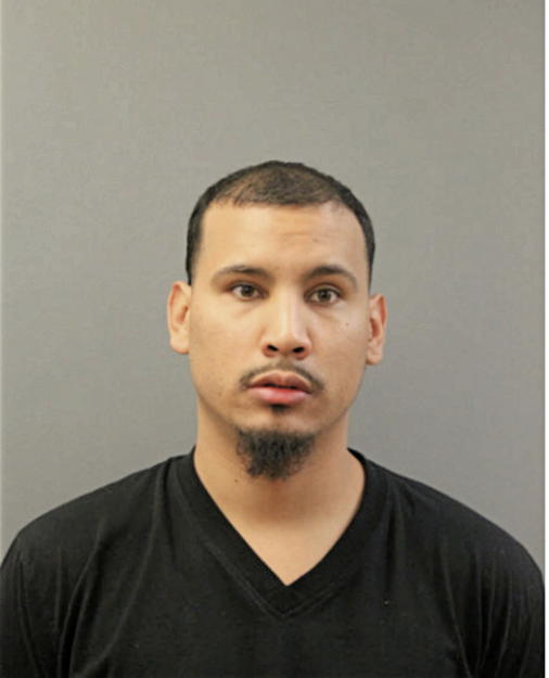 ERIC J ESTRADA, Cook County, Illinois