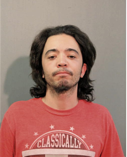 LEONARDO FERNANDEZ, Cook County, Illinois