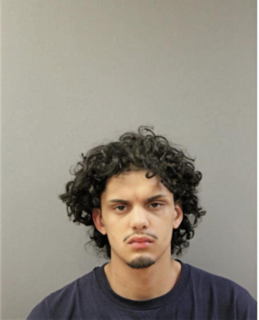 ALEX J HERNANDEZ, Cook County, Illinois