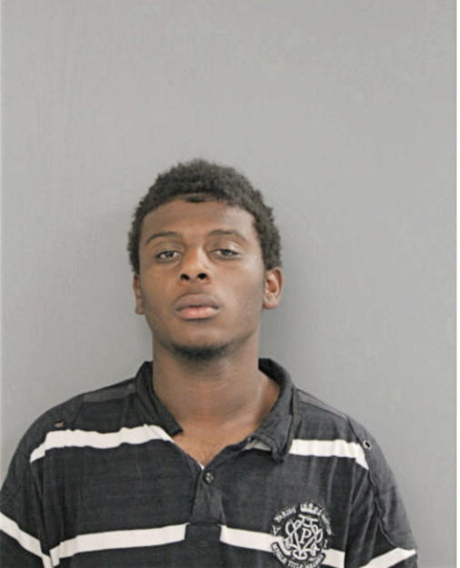 JOHNNIE L JOHNSON, Cook County, Illinois
