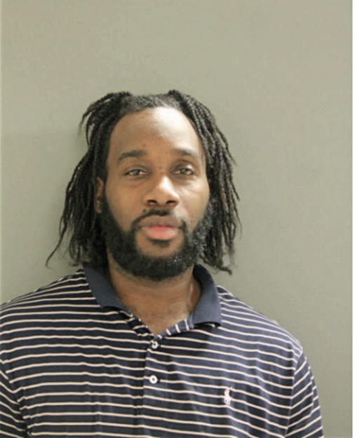 MICHAEL R JOHNSON, Cook County, Illinois