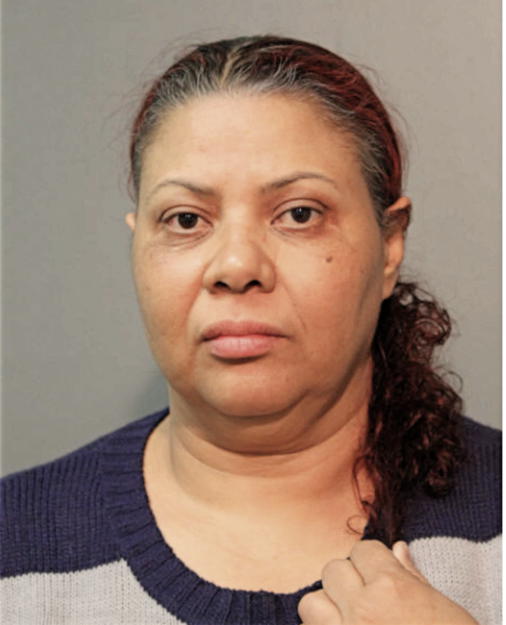 MIRIAN A LANZA ALEMAN, Cook County, Illinois