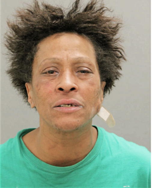 RENATA C PALM, Cook County, Illinois
