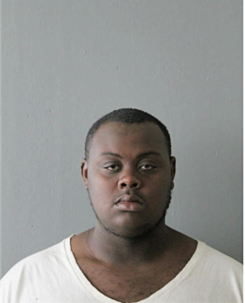 MICHAEL E PARHAM, Cook County, Illinois