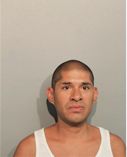 NICOLAS R PITTMAN, Cook County, Illinois