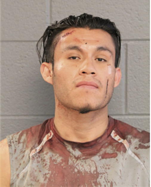 EDUARDO REYES, Cook County, Illinois