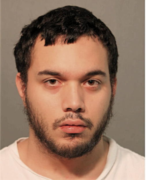 JONATHAN R REYES, Cook County, Illinois