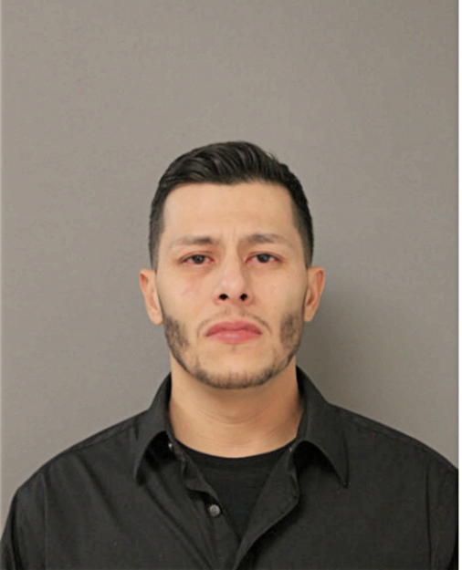 CARLOS A ROA, Cook County, Illinois