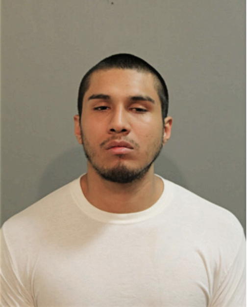 DAVID RODRIGUEZ, Cook County, Illinois