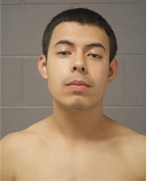 CESAR A RUIZ, Cook County, Illinois