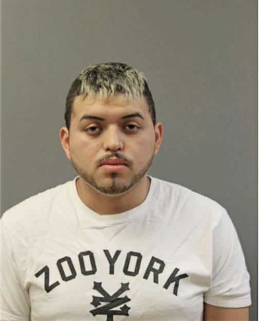 BRANDON A SORIANO LUNA, Cook County, Illinois
