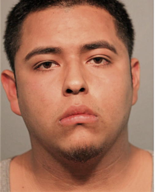 DIEGO A SOTO, Cook County, Illinois