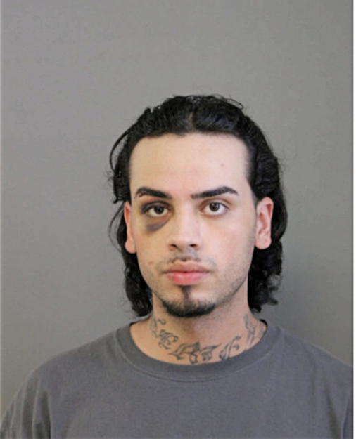 ENRIQUE R TORRES, Cook County, Illinois