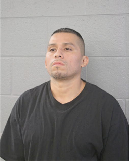 LUIS TORRES, Cook County, Illinois