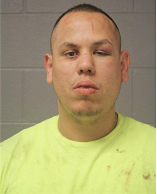 ABEL VERDIN, Cook County, Illinois