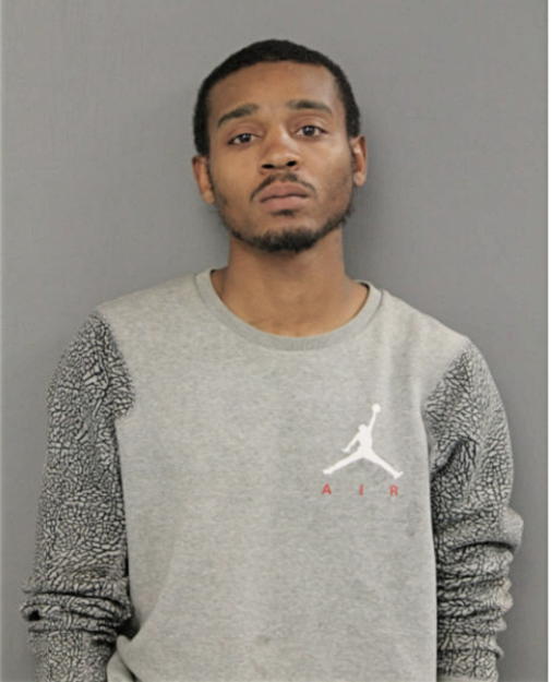 TERRELL D WOODS, Cook County, Illinois