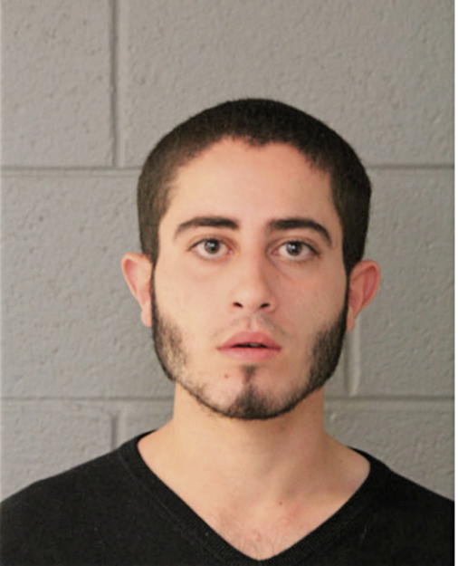 MAHMOUD W ALRUB, Cook County, Illinois