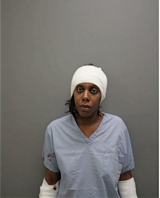 SHAUNREE N BALLARD, Cook County, Illinois