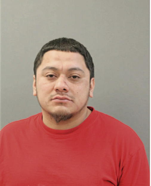CELESTINO BANUELOS, Cook County, Illinois