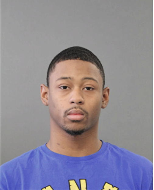TERRE A BRAMLETT, Cook County, Illinois