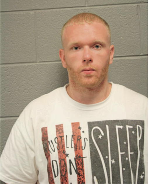 JOSHUA STEVEN FARNER, Cook County, Illinois