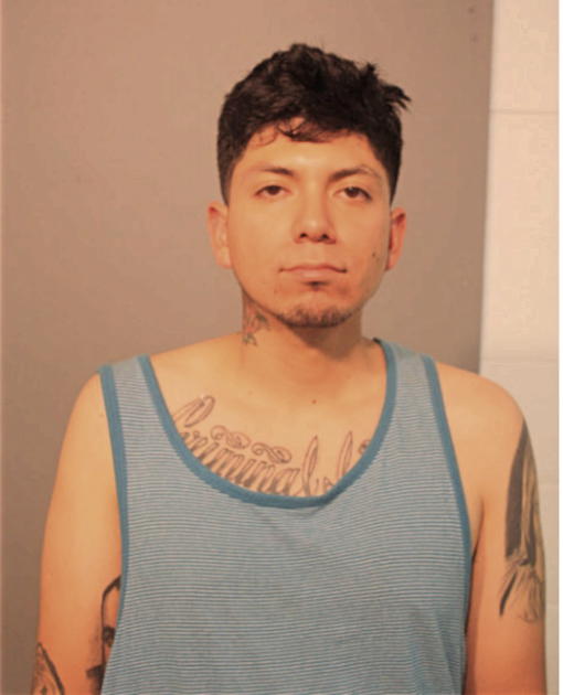 ALBERT M GUTIERREZ, Cook County, Illinois