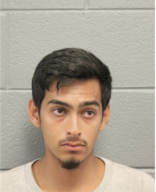 CHRYSTIAN F HUERTA, Cook County, Illinois