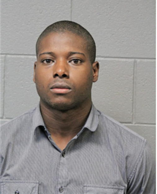 BRIAN R JOHNSON, Cook County, Illinois