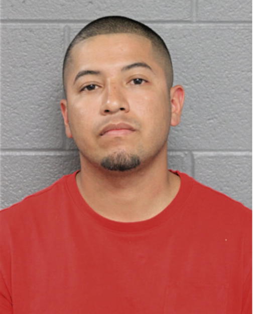 FERNANDO LARA, Cook County, Illinois