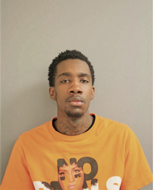 DEMETRIUS D LITTLE, Cook County, Illinois