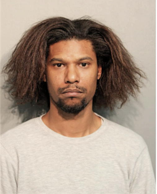 DENNIS R LLANOS, Cook County, Illinois