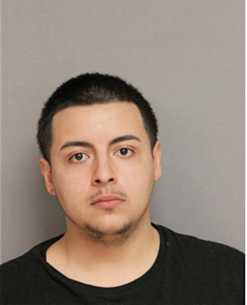 DIEGO A NAVARRO, Cook County, Illinois