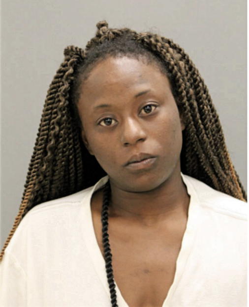 KATINA S NOBLE, Cook County, Illinois