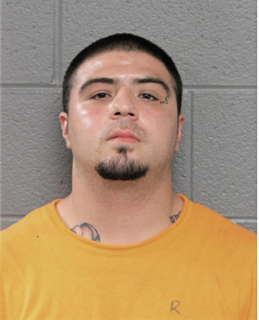 RICARDO PENAFLOR, Cook County, Illinois