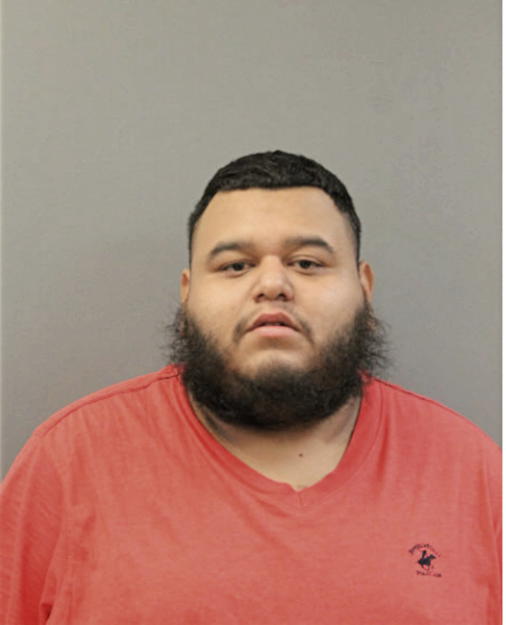 DANIEL RAMIREZ, Cook County, Illinois