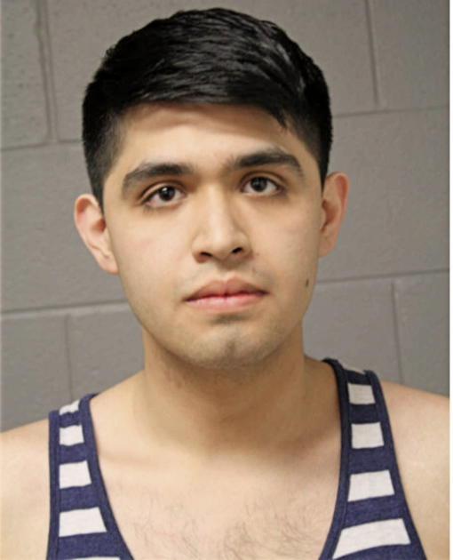 GIOVANNI REYES, Cook County, Illinois