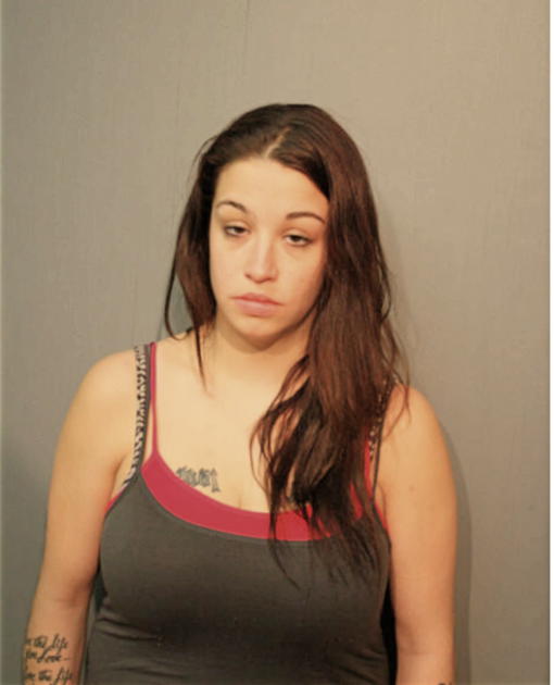 HEATHER N RIZZO, Cook County, Illinois