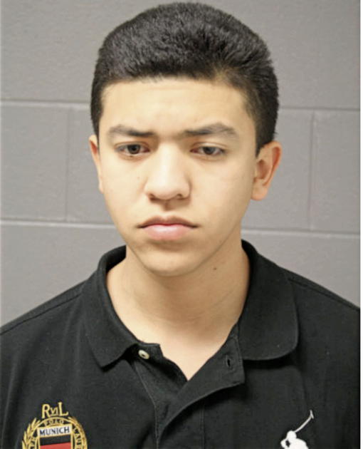 ISMAEL E SOTELO, Cook County, Illinois