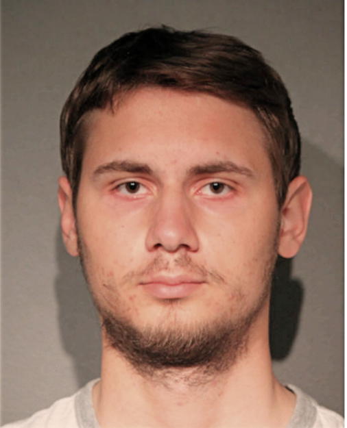 ILARION TOKAREV, Cook County, Illinois