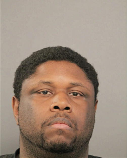 DAVID L VERNER, Cook County, Illinois