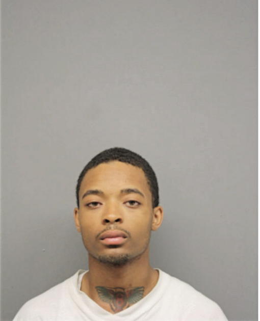 BRANDON T BRYANT, Cook County, Illinois