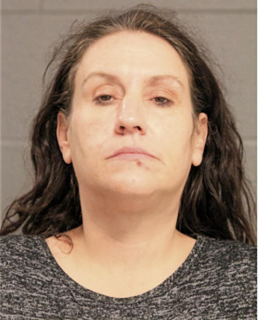 SARAH A CARNES, Cook County, Illinois