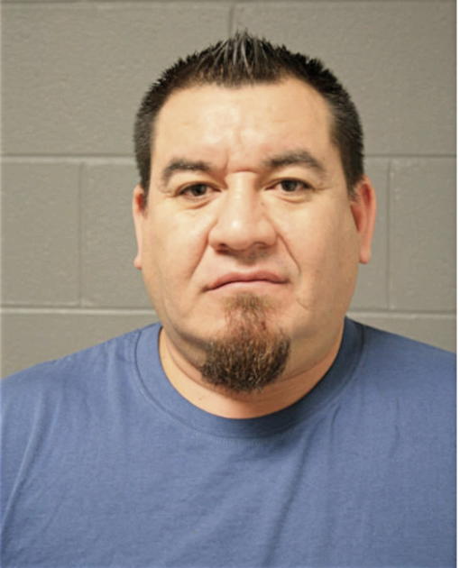 LUIS A CONTRERAS, Cook County, Illinois