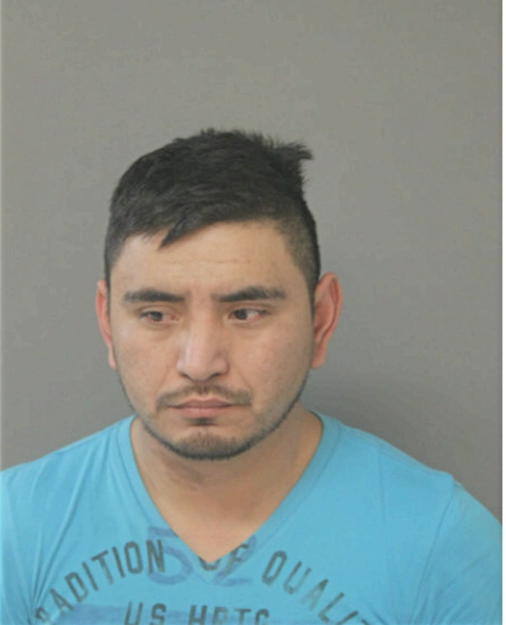 MILTON N DE LEON, Cook County, Illinois
