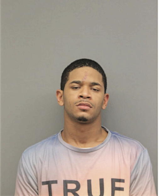 CHARLES E DUBOSE, Cook County, Illinois