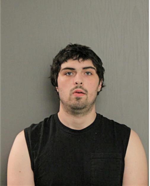 DAVID FEEHERY, Cook County, Illinois